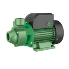 Peripheral Electric Pump 1HP 230V 1